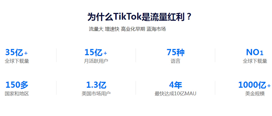 外贸网站建站Tiktok推广  第3张