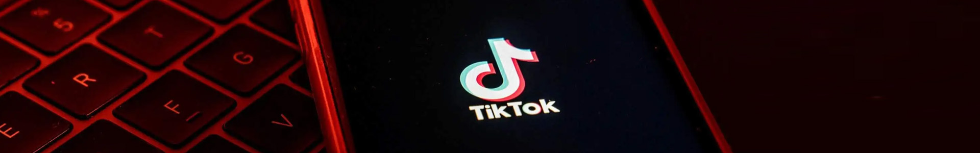 外贸网站建站Tiktok推广  第2张